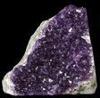 Dark Purple Amethyst Cluster On Wood Base #46262-1